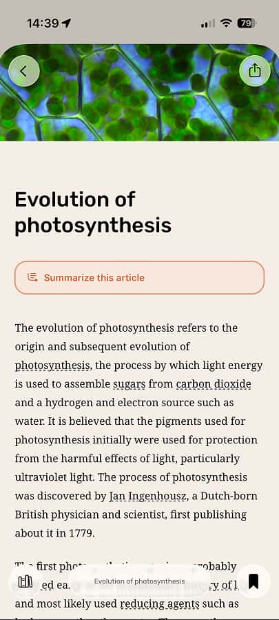 Noys article screen with a summary preview on iPhone