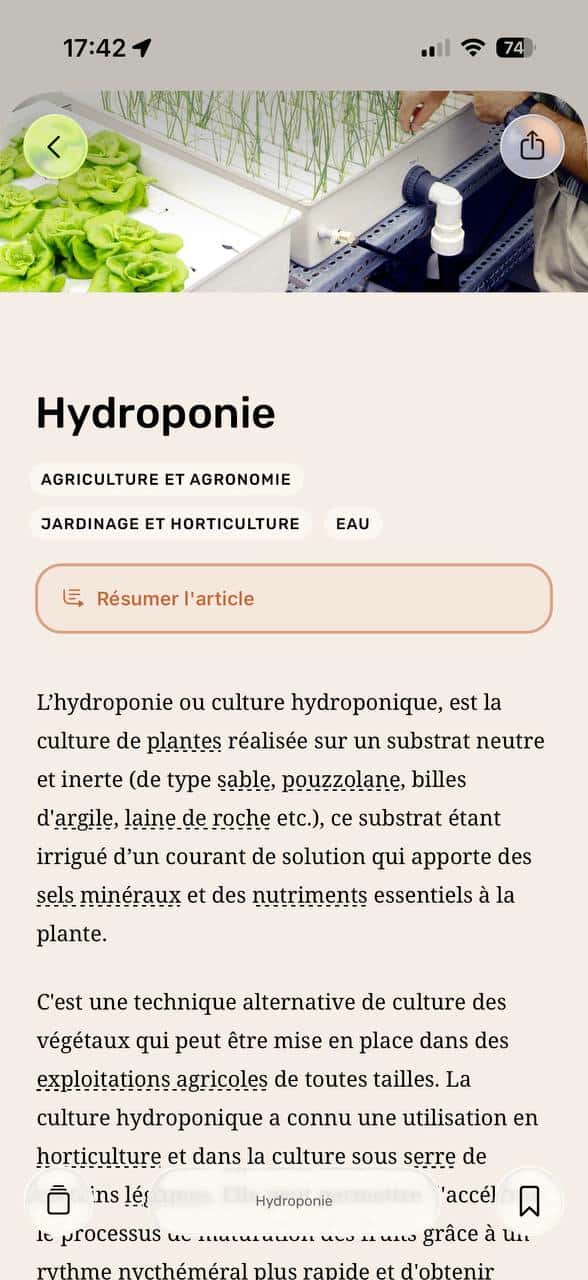 Écran article Noys avec aperçu de résumé sur iPhone